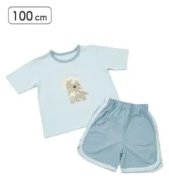 じゅらしっくぱにっく　恐竜Tシャツ＋短パンセットアップ　パジャマ　セール　100