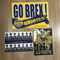 宇都宮ブレックス　優勝ポスター　クリアファイル　ファイナルプログラム