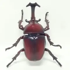 海洋堂 カプセルQミュージアム 甲虫の王様 カブトムシ大全「カブトムシ」