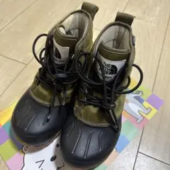 Item thumbnail for item f735f53d-5b4c-4b5d-95b7-ea178bbfc179