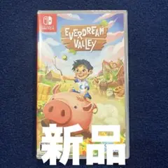 新品未開封 Everdream Valley エバードリームバレーSwitch