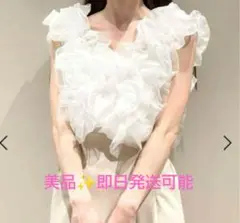 SNIDEL Sustainableボリュームフリルブラウス
