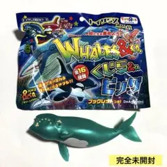 セミクジラ　3番　スーパーレア　くじら&co.ビッグ　トイザらスver.