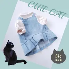 Item thumbnail for item 3e55e114-1f6f-4da6-a6cd-743cfa67d801