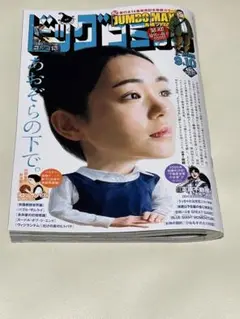 【本日発売】ビッグコミック2025年No.17
