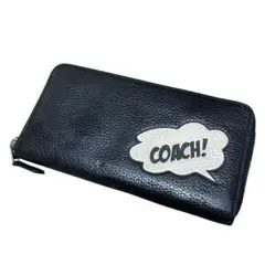 Item thumbnail for item 814bb101-a4dd-4b69-be43-c0e082f37d01