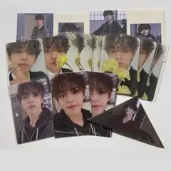 seventeen エスクプス FML