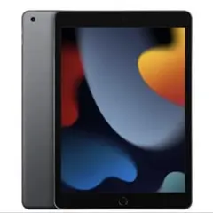 美品 iPad 第9世代 10.2インチ 64GB Wi-Fiモデル