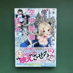 「キミ、どこ住み? え、俺は空中要塞住みだけど」