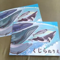 くじら　ぬりえ　新品