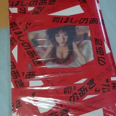 ほしのあき写真集 スペシャル