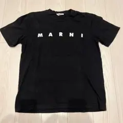 marni tシャツ 46