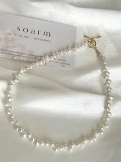 Item thumbnail for item 4d310f8a-bd97-4b6f-9fd1-65f4d85be652