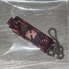 仮面ライダーW ガイアメモリ メタルチャームコレクション ヒート