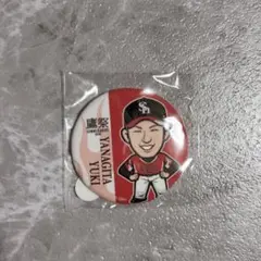 柳田悠岐