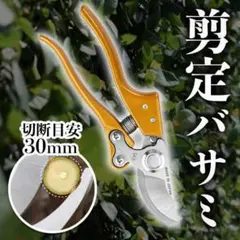 はさみ 剪定ばさみ ガーデン 枝切りばさみ 園芸 金色 ハサミ