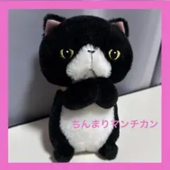 ひげまんじゅう　ツチネコ　ちんまりマンチカン　ぬいぐるみ　猫 ひげまんじゅう ツチネコ ちんまりマンチカン ぬいぐるみ 猫