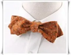 Item thumbnail for item 8a53a8d6-9cf6-4ed7-967d-3aadcc707d3a