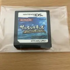 【新着】任天堂 Nintendo DS サバイバルキッズ　LostinBlue
