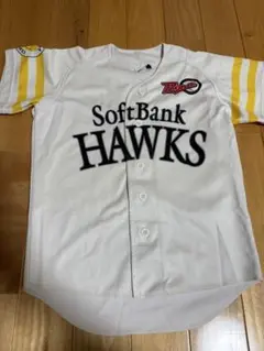 Item thumbnail for item a8ea646f-3fc7-4492-aa60-bf864e2b3265