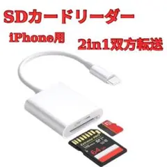 Item thumbnail for item 86b0549e-6c27-42df-a38a-2570a62d22f0