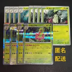 (匿名配送) メガニウムRと進化ライン 各4枚セット