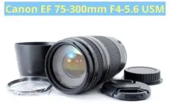 Item thumbnail for item 1c996322-0864-4238-80d8-62b17e4f2720