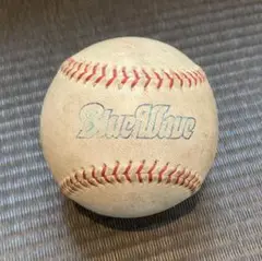 NPB公式球 オリックスバファローズ記念球 6球セット(新品未使用) NPB公式試合球 6球セット 新品未使用(激安1球当たり2667円です