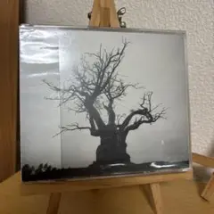 SEKAI NO OWARI 2010-2019