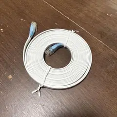 ホワイト LANケーブル RJ45