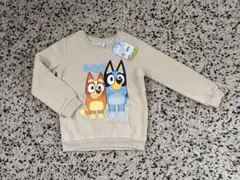 Item thumbnail for item 2f445671-5e44-4231-b2e5-83115202d153