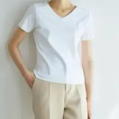 ドゥクラッセ 半袖シャツ　カットソー Tシャツ Vネック XL ゆったり大人綺麗
