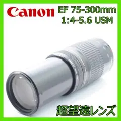 Item thumbnail for item 238b9f9e-54b6-4e15-be7f-552bc14194de