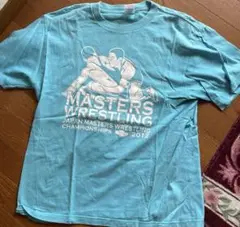 Tシャツ　２着セット売り　Lサイズ