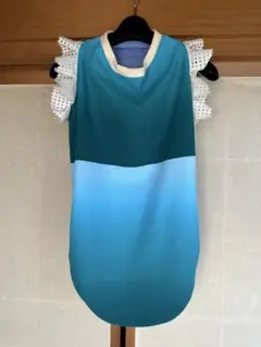 大型犬　お袖ふりふりタンク　胴約88〜90cm 犬服