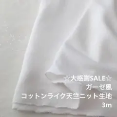 A10X/5002◆3m 感謝祭/綿ポリ混天竺ニット生地/アパレル