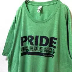 ベラキャンバス プライドアンリーシュド Tシャツ グリーン 緑 XL 古着
