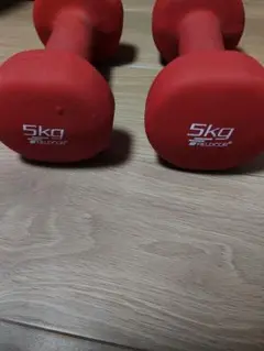 FIELDLOCK 5kg レッドダンベル2個セット