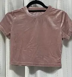 clearピンク ベロア クロップドTシャツ　チビT