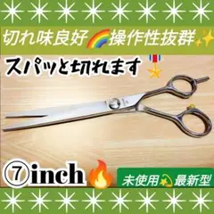 Item thumbnail for item 5f662592-c56b-4da7-a2c5-e098fe0f724f