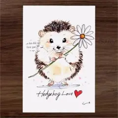 イラスト 原画 ポストカード 絵 【ハリネズミ】4
