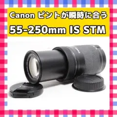Item thumbnail for item 6211a8db-ef81-47ba-89d1-2995357a75e3