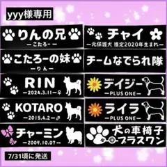 Item thumbnail for item 6be855ef-eef5-447d-8eaa-df2cd5aea1e7