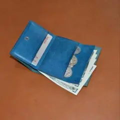 シェルティー様