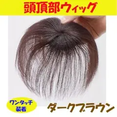 ★頭頂部 ウィッグ 部分かつら ヘアピース 自然 ブラウン つけ毛 メンズ060