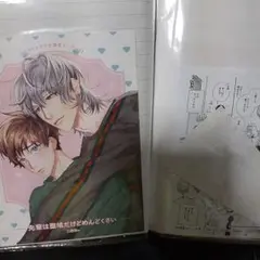 商業 BL 　組み換え可能　リーフレット　　ペーパー