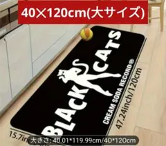 Item thumbnail for item 6ef9c7ed-dd27-4fa4-9cbd-e8f2c3f592aa