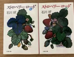 【2冊セット】ストロベリー・ロード 上下