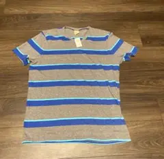 ホリスター　 Tシャツ