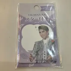 【新品未開封】真風涼帆　スター付箋